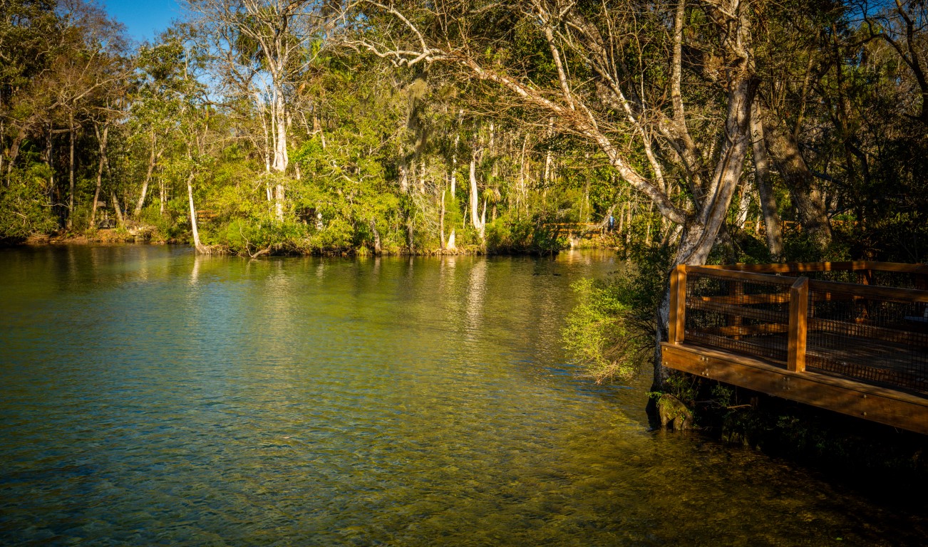 Tropic Shores Realty